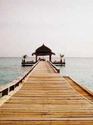 猫咪的温柔日常